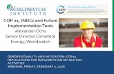 COP21, INDCs and Future Implementation Tools