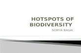 Hotspots of biodiversity