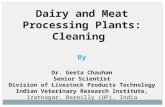 Dairy and meat processing plants cleaning by Geeta Chauhan