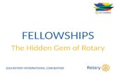 Fellowships: The Hidden Gem of Rotary