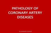 Role of MDCT multisclice CT in coronary artery part 2 (pathology indication technique) Dr Ahmed Esawy