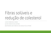 Fibras solúveis e Redução de Colesterol - Luiza Ferracini
