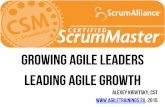 Certified ScrumMaster: class desk, posters and photos