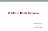 Habib rahman