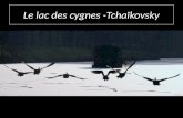 11-Lac Des Cygnes