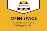 Open Space: Creatividad y Colaboración en Equipo en el MindSonar Day Conference