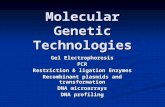 Molecular Genetic Technologies Gel Electrophoresis PCR Restriction & ligation Enzymes Recombinant plasmids and transformation DNA microarrays DNA profiling.