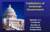Institutions of American Government Module 4.1: Congress Section 6: Committee Assignment.