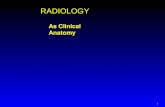 1 As Clinical Anatomy RADIOLOGY. COURSE GOALS  Understand basics of image generation.  Relate imaging to gross anatomy.  See clinical relationship.
