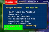 Copyright © by Holt, Rinehart and Winston. All rights reserved. Section 1 Mendel and His Peas Gregor Mendel: Who was he? Born 1822 in Austria Monk and.