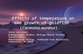 Effects of temperature on the growth of goldfish (Carassius auratus).