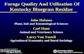 Forage Quality And Utilization Of Kentucky Bluegrass Residue John Holman Plant, Soil and Entomological Sciences Carl Hunt Animal and Veterinary Science.