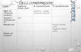 starter CELL comparison Cell Natural Killer Cell B Lymphocyte