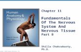 Copyright © 2010 Pearson Education, Inc. Chapter 11 Fundamentals Of The Nervous System And Nervous Tissue Part B Shilla Chakrabarty, Ph.D.