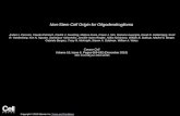 Non-Stem Cell Origin for Oligodendroglioma Anders I. Persson, Claudia Petritsch, Fredrik J. Swartling, Melissa Itsara, Fraser J. Sim, Romane Auvergne,