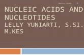 NUCLEIC ACIDS AND NUCLEOTIDES LELLY YUNIARTI, S.SI., M.KES Nucleic acids 1