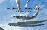 Southeast Commercial Fisheries Budget Picture. Multiple funding sources in SE: State of Alaska ($9.9 million; 71% of total) General Funds (86% of state.