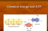 Chemical Energy and ATP. Life depends on energy That energy is stored in chemical bonds of energy storing compounds ATP, NADH, NADPH and FADH2 The chief.