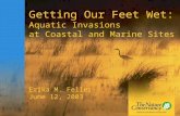 Getting Our Feet Wet: Aquatic Invasions at Coastal and Marine Sites Erika M. Feller June 12, 2003.