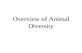 Overview of Animal Diversity. 31.1 Animals are multicellular heterotrophs without cell walls. Some General Features of Animals Animals are multicellular