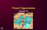 Visual Organization Module 19.