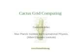 Cactus Grid Computing Gabrielle Allen Max Planck Institute for Gravitational Physics, (Albert Einstein Institute)