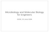 Microbiology and Molecular Biology for Engineers IGEM, 20 June 2006.