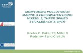 MONITORING POLLUTION IN MARINE & FRESHWATER USING MUSSELS, THREE SPINED STICKLEBACK & qPCR Kneller C, Baker PJ, Miller B Redshaw J and Craft JA.