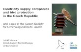 Electricity supply companies and bird protection in the Czech Republic and a role of the Czech Society for Ornithology/BirdLife Czech Lukáš Viktora Czech.