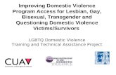 Improving Domestic Violence Program Access for Lesbian, Gay, Bisexual, Transgender and Questioning Domestic Violence Victims/Survivors LGBTQ Domestic.