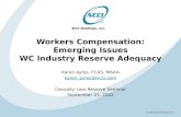 2002 NCCI Holdings, Inc. Workers Compensation: Emerging Issues WC Industry Reserve Adequacy Karen Ayres, FCAS, MAAA Casualty Loss.