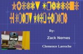 Zack Nemes By: Clemence Larroche. To track and follow a car as it travels along a path.