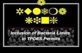 Bacteria Rulemaking Inclusion of Bacteria Limits in TPDES Permits.