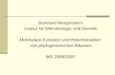 Burkhard Morgenstern Institut für Mikrobiologie und Genetik Molekulare Evolution und Rekonstruktion von phylogenetischen Bäumen WS 2006/2007.