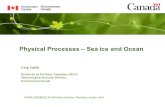 Physical Processes – Sea ice and Ocean Greg Smith Recherche en Prévision Numérique (RPN) Meteorological Research Division, Environment Canada WWRP, THORPEX,