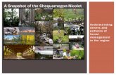 Understanding drivers and patterns of forest management in the region * A Snapshot of the Chequamegon-Nicolet.