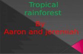 * Tropical rainforest biomes are found in the lower latitudes.  * The temperture is mostly around 80 degrees.  * There isn’t a big change in seasons.