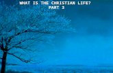 WHAT IS THE CHRISTIAN LIFE? PART 3 WHAT IS THE CHRISTIAN LIFE? PART 3.