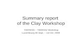 Summary report of the Clay Workshop THERESA – TIMODAZ Workshop Luxembourg 30 Sept. – 1st Oct. 2009.