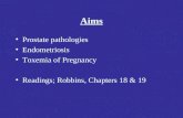 Aims Prostate pathologies Endometriosis Toxemia of Pregnancy