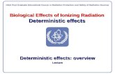 Biological Effects of Ionizing Radiation Deterministic effects