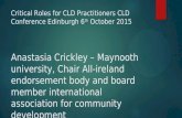 Critical Roles for CLD Practitioners CLD Conference Edinburgh 6 th October 2015 Anastasia Crickley – Maynooth university, Chair All-ireland endorsement.