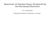 Spectrum of Gamma Rays, Produced by the Runaway Electrons G.G. Karapetyan Alikhanian National Laboratory, Armenia.
