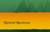 Natural Resources. Newfoundland and Labrador Resource – MINES!!!