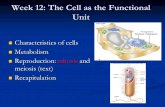 Week 12: The Cell as the Functional Unit Characteristics of cells Characteristics of cells Metabolism Metabolism Reproduction: mitosis and meiosis (text)