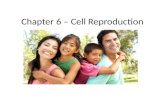 Chapter 6 – Cell Reproduction Cell Reproduction.