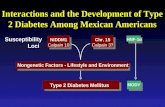 Interactions and the Development of Type 2 Diabetes Among Mexican Americans NIDDM1 Calpain 10 Chr. 15 Calpain 3? Nongenetic Factors - Lifestyle and Environment.