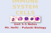 Unit 5-5 Notes Mr. Hefti – Pulaski Biology. Type of cellFunctionLocation MacrophageIngests pathogensSpleen, lungs, blood NeutrophilEngulfs / destroys.