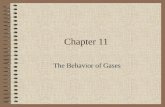 Chapter 11 The Behavior of Gases. Kinetic Theory Kinetic Theory – all molecules are in constant motion. –Collisions between gas molecules are perfectly.