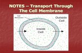 NOTES – Transport Through The Cell Membrane. What is cell transport? Cell Transport – when substances move into or out of cells Cell Transport – when
